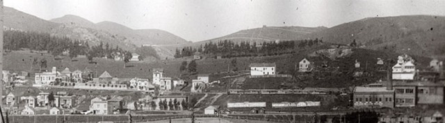 Panorama of Sunnyside, about 1906: (Photo courtesy Jacqueline Proctor, MtDavidson.org.)