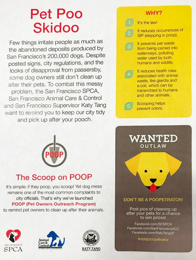 Pet_Poo_Skiddo_2017_06