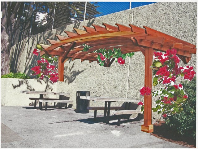 Pergola w-Vines_2017_08