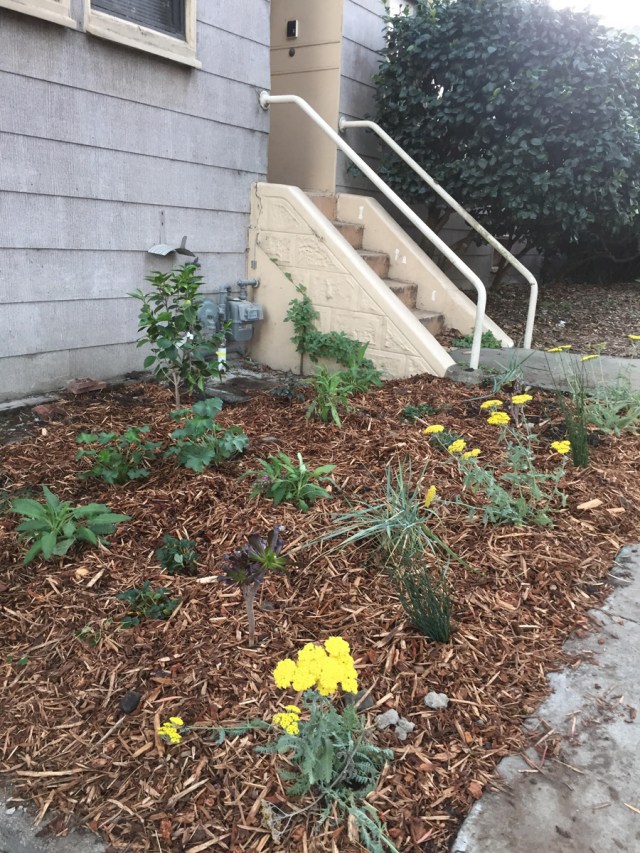 315Hearst_2017_10_21