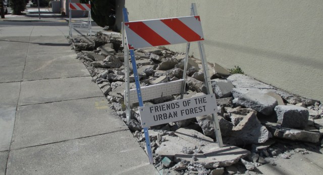 Detroit_greening2_2017_10_04