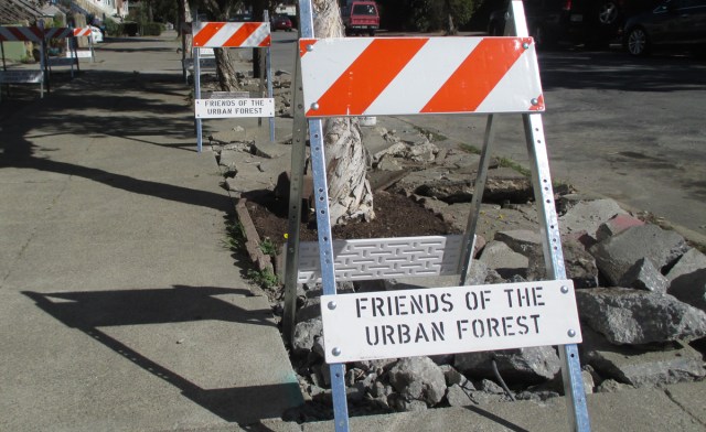 Detroit_greening3_2017_10_04