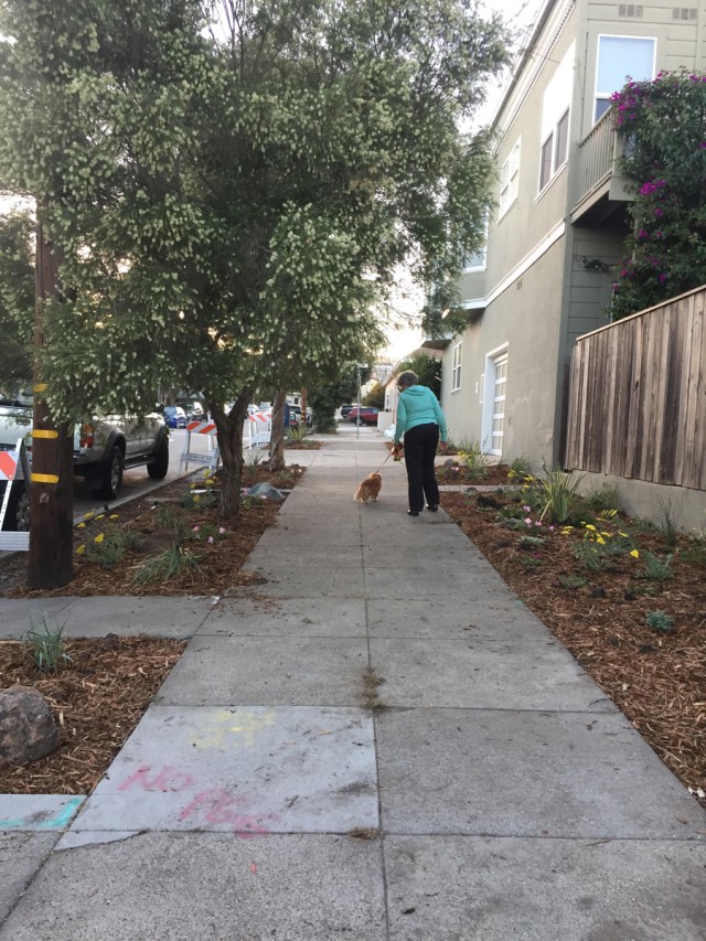 Flood_and_Detroit_2017_10_21