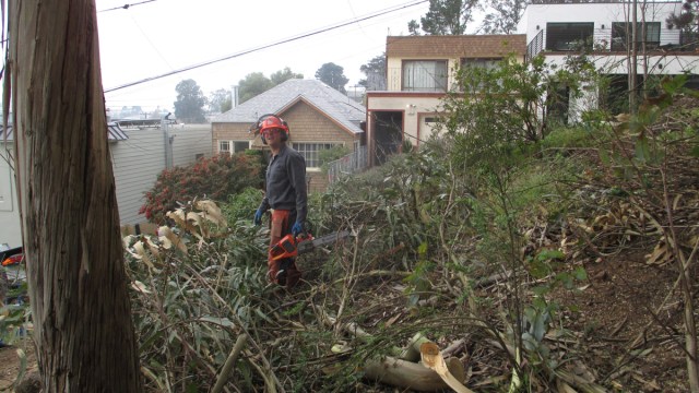 Dorothy_Erskine_Park_b_2018_12_02