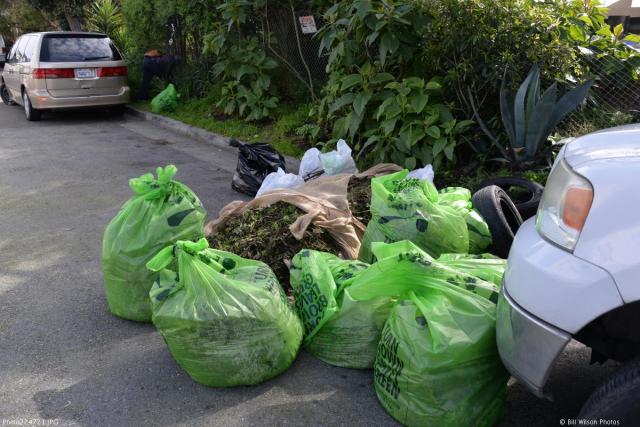 Circular_Ribbon_Garden_BIllWilson_6_event_2019_02_23