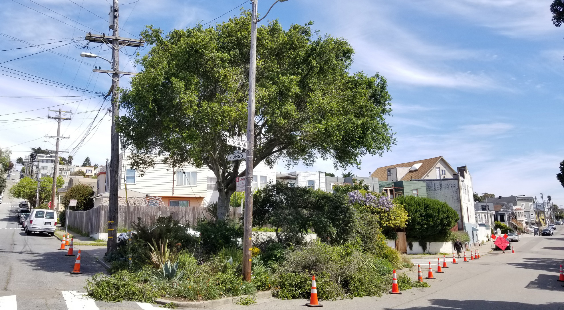 Circular_Congo_1_OAK_trimmed_2019_04