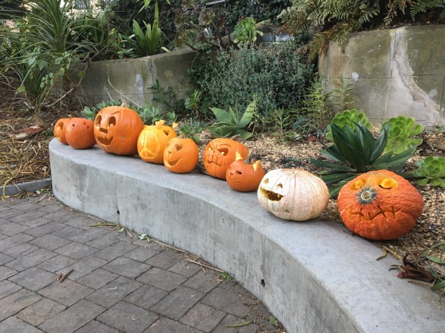 2019 Jack-o-Lantern Stroll. Sunnyside Neighborhood Association. Photo by Laura Mitic
