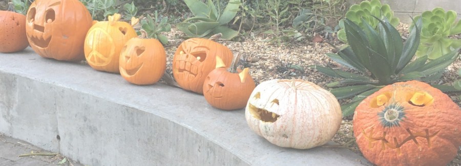 2019 Jack-o-Lantern Stroll. Sunnyside Neighborhood Association. Photo by Laura Mitic