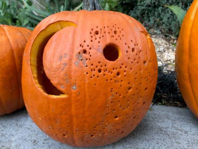 2019 Jack-o-Lantern Stroll. Sunnyside Neighborhood Association. Photo by Kenneth Hollenbeck