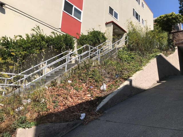 Upper Detroit Steps, cleanup day. Photo: Rosaura Valle.
