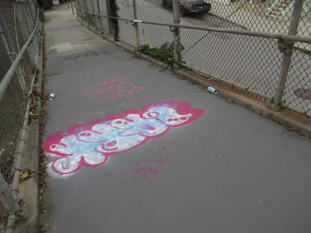 Havelock Bridge, Nov 8, 2021. Photo: Sunnyside Neighborhood Association.