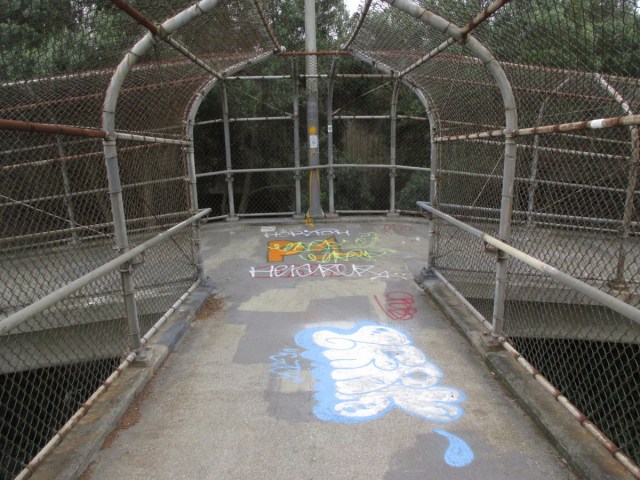 Havelock Bridge, Nov 8, 2021. Photo: Sunnyside Neighborhood Association.